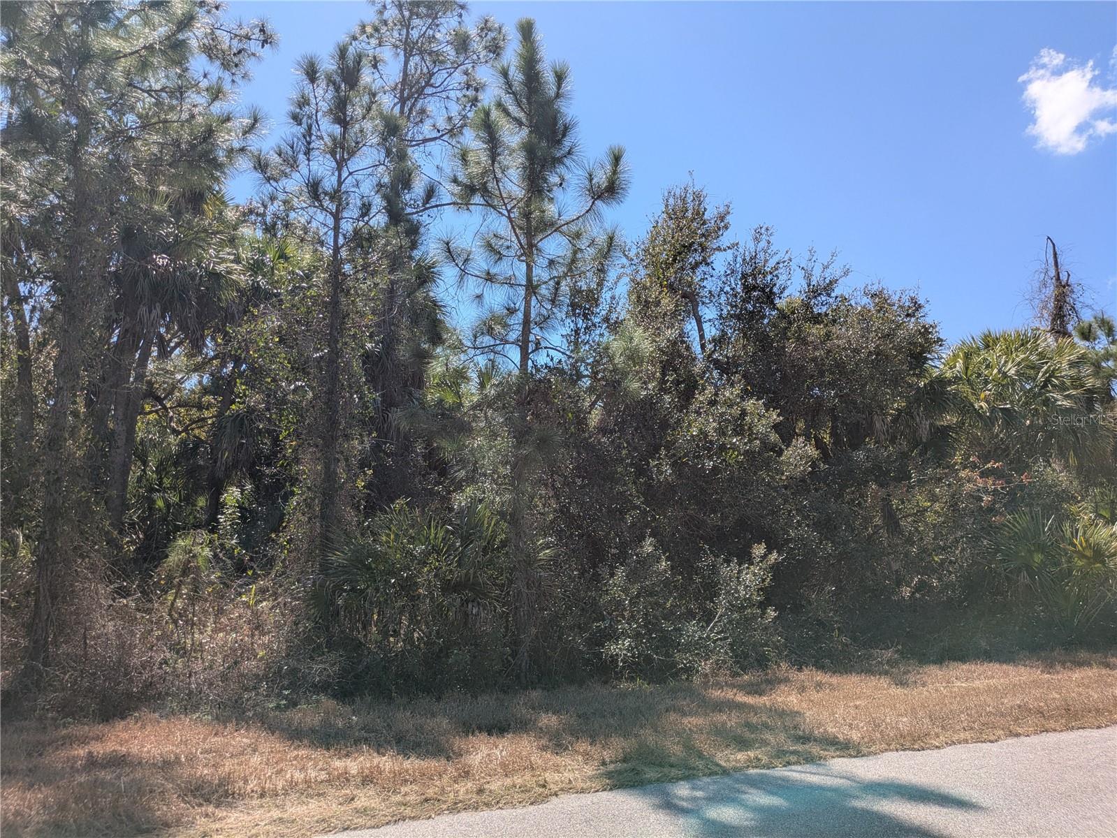 PORT CHARLOTTE SUB 45 - Land