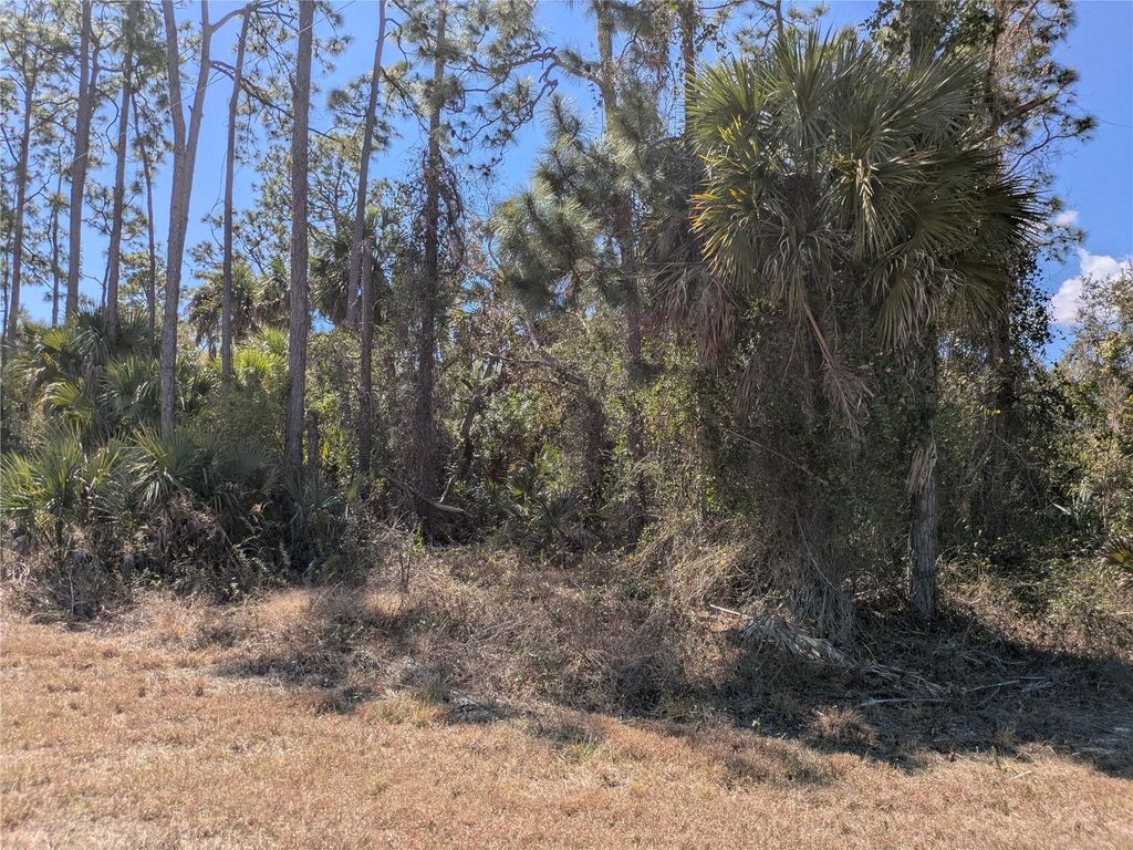 Photo of Bannock Circle, North Port, FL 34288 (MLS # C7522333)