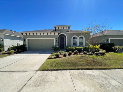 11193 SPRING POINT CIRCLE RIVERVIEW FL 33579