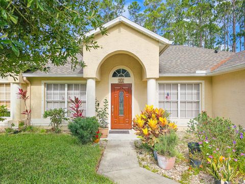 A home in PALM COAST