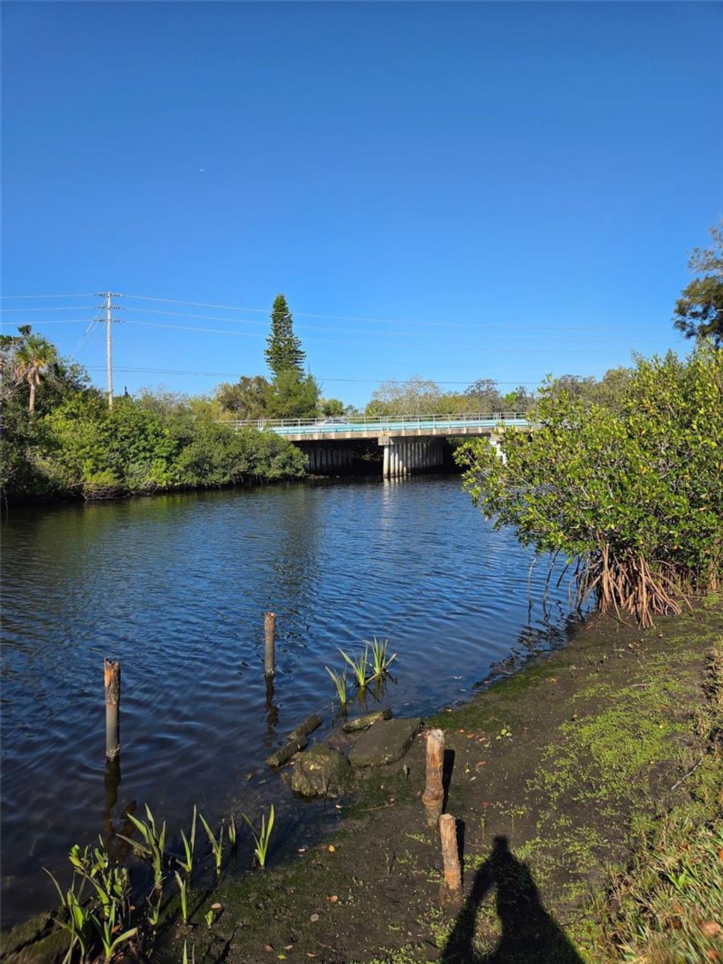 Photo of 5651 Monroe Street, New Port Richey, FL 34653 (MLS # W7883970)