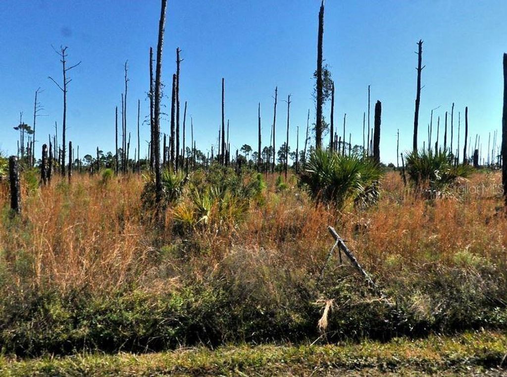 Photo of Ewen Circle, North Port, FL 34288 (MLS # O6199524)