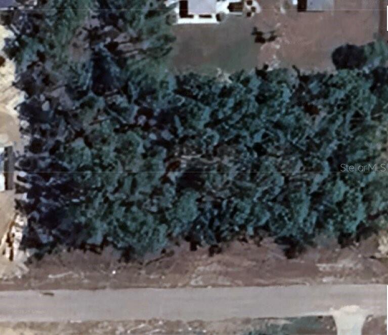 CITRUS SPGS UNIT 08 - Land