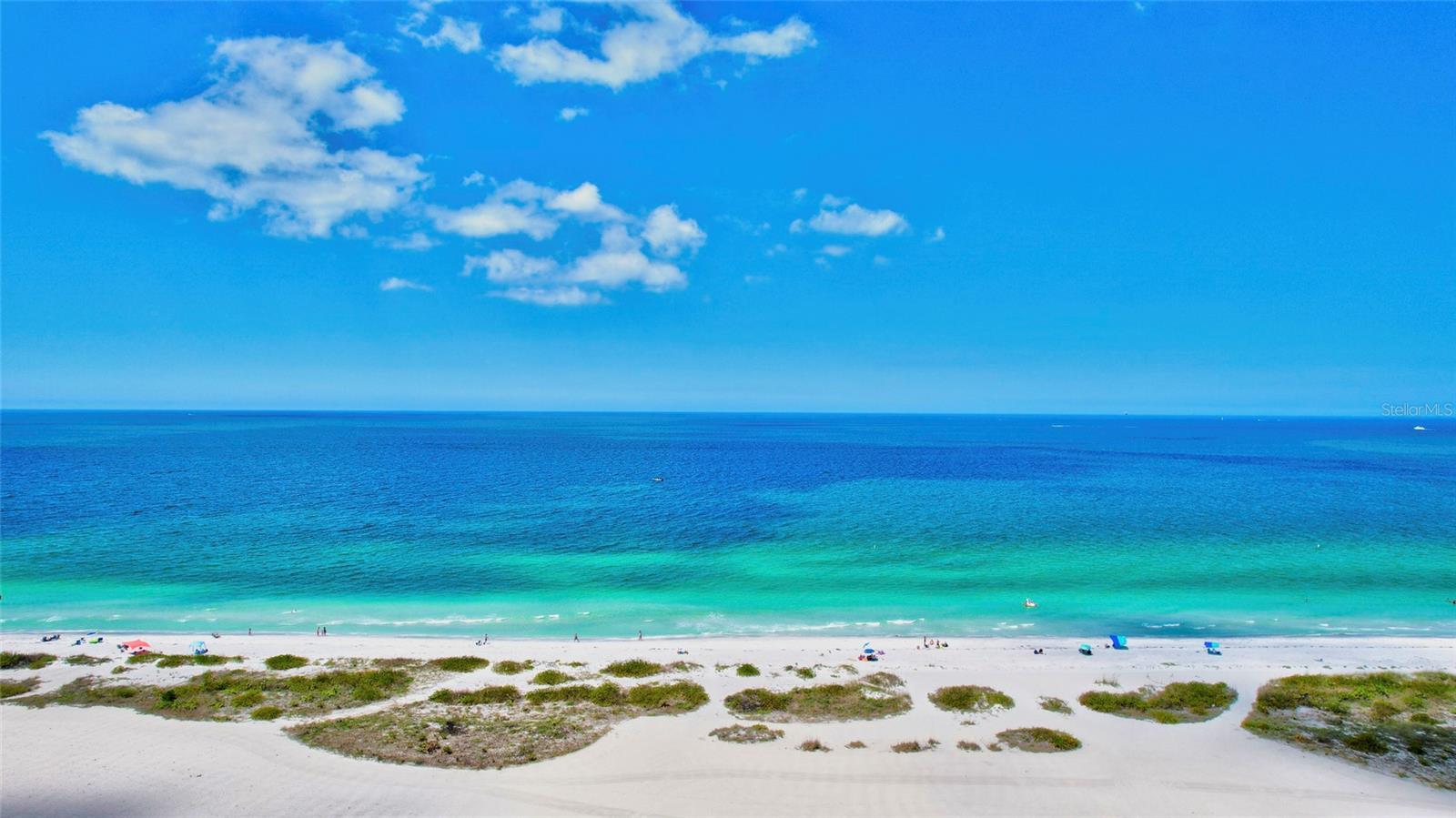 1290 GULF BOULEVARD 1604