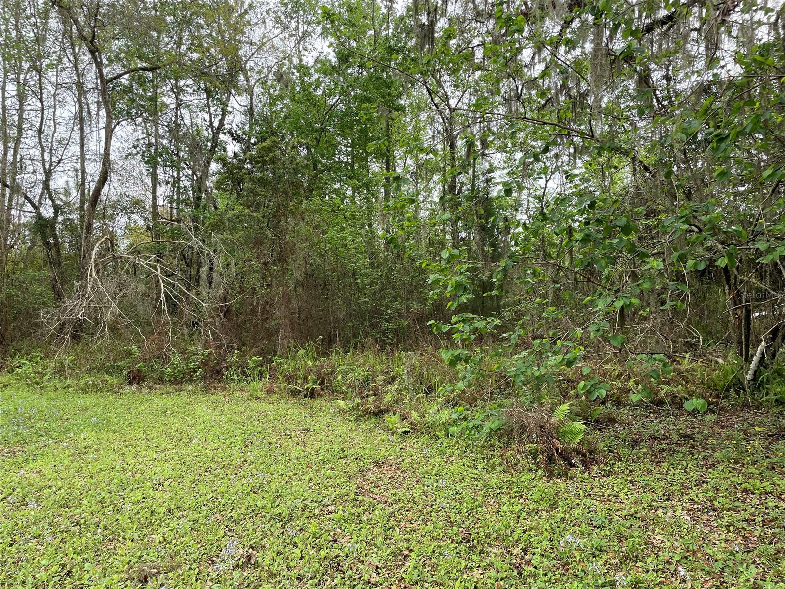 MELENDEZ BLVD,TRUCK BYPASS-C50C - Land
