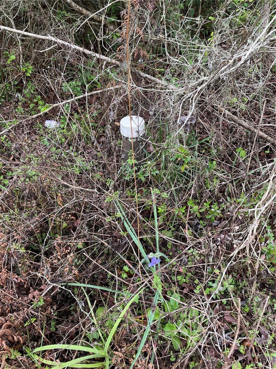 MELENDEZ BLVD,TRUCK BYPASS-C50C - Land