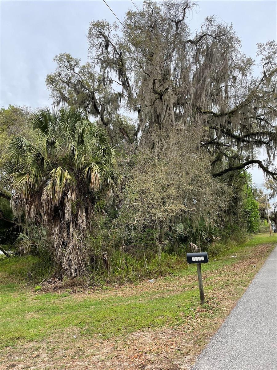 MELENDEZ BLVD,TRUCK BYPASS-C50C - Land