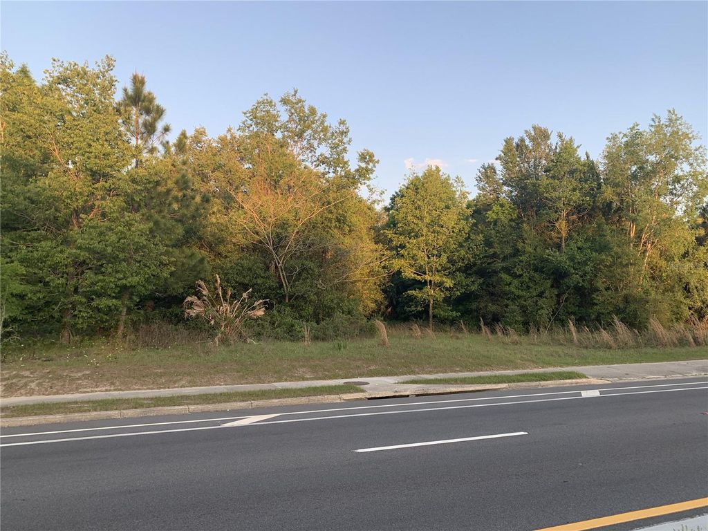 Photo of 18111 N Us Hwy 301, Citra, FL 32113 (MLS # OM721659)