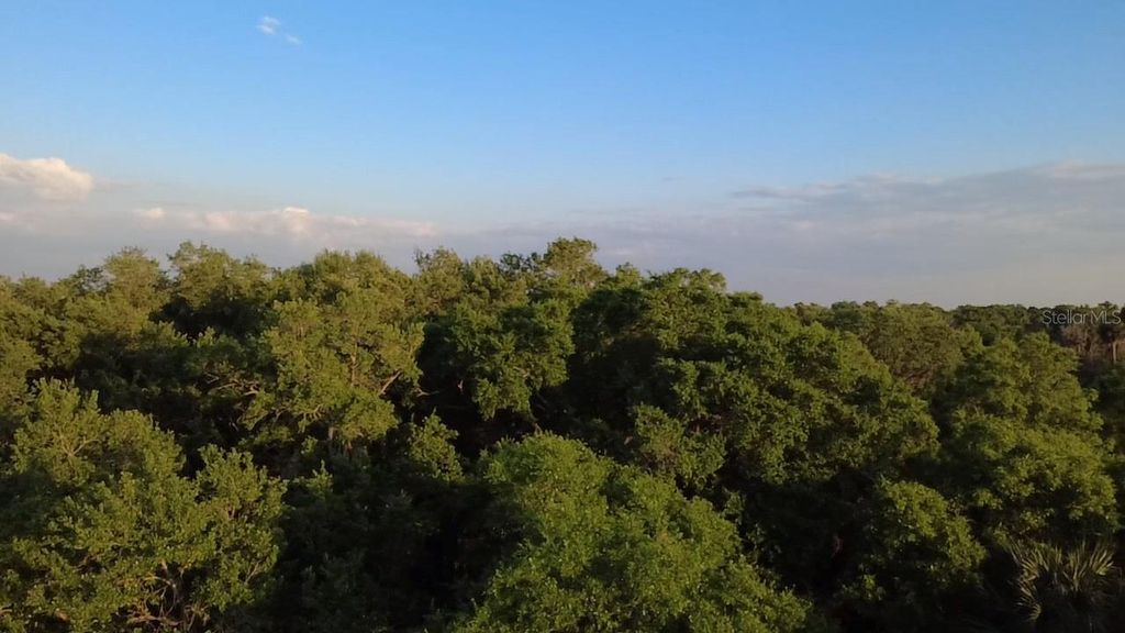 Photo of 18111 N Us Hwy 301, Citra, FL 32113 (MLS # OM721659)