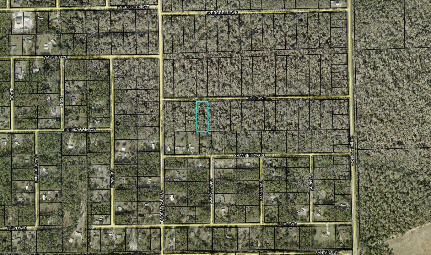 DAYTONA NORTH SUB - Land