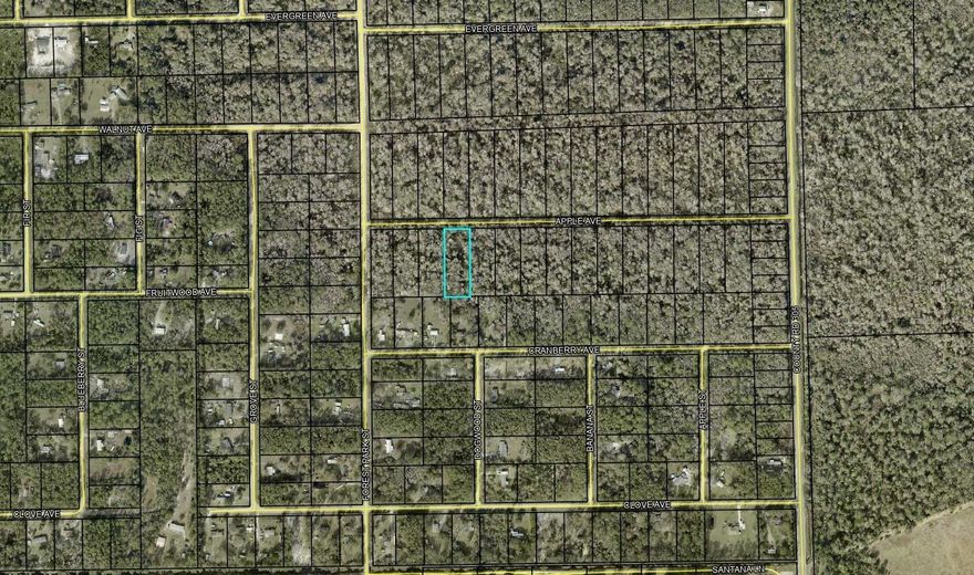 Priced to sale, Please do your due diligence to verify with the county your usage options. This property is located in flood zone A. and possibly considered wetlands.