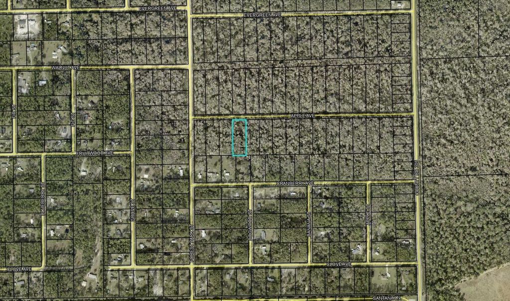 Photo of 3853 Apple Avenue, Bunnell, FL 32110 (MLS # FC316253)