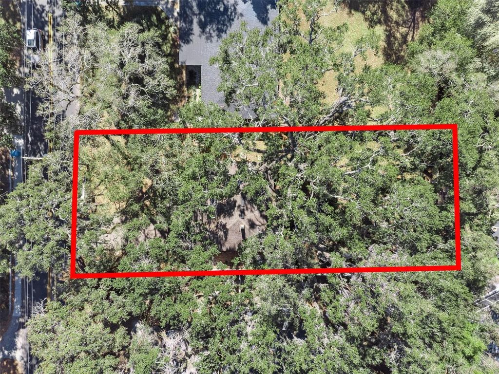 Photo of 738 S Mills Avenue, Orlando, FL 32801 (MLS # O6380794)