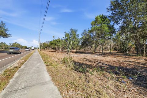 Tiny photo for Summerall Ave & Sr 19, Tavares, FL 32778 (MLS # G5070641)