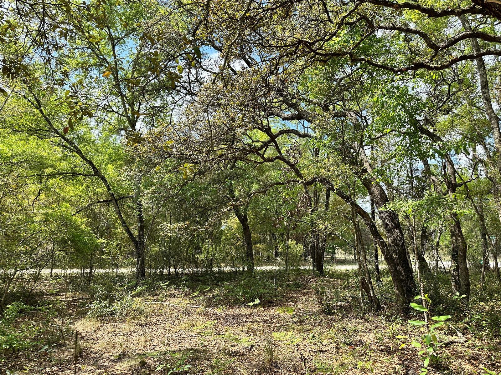 WILLISTON HIGHLANDS UNIT 12 - Land