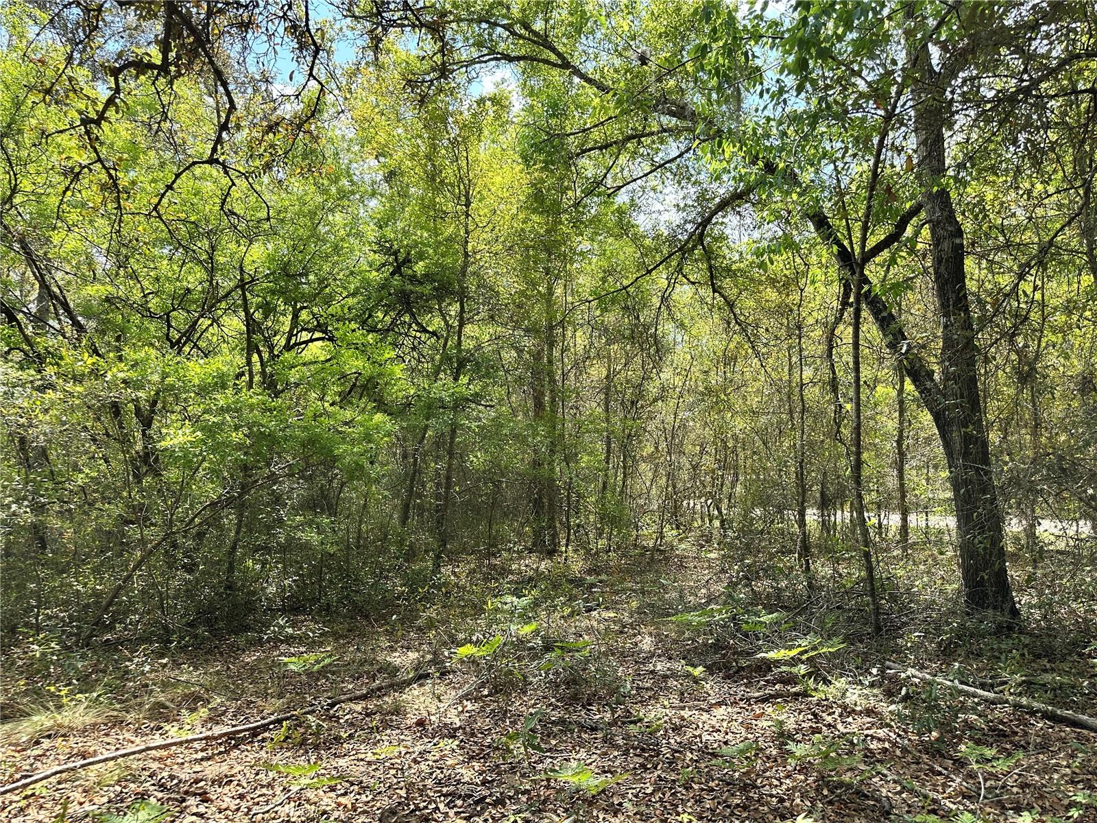 WILLISTON HIGHLANDS UNIT 12 - Land