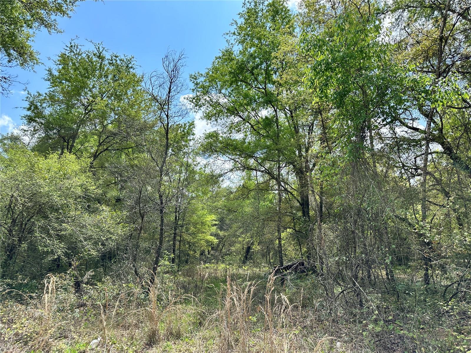 WILLISTON HIGHLANDS UNIT 12 - Land