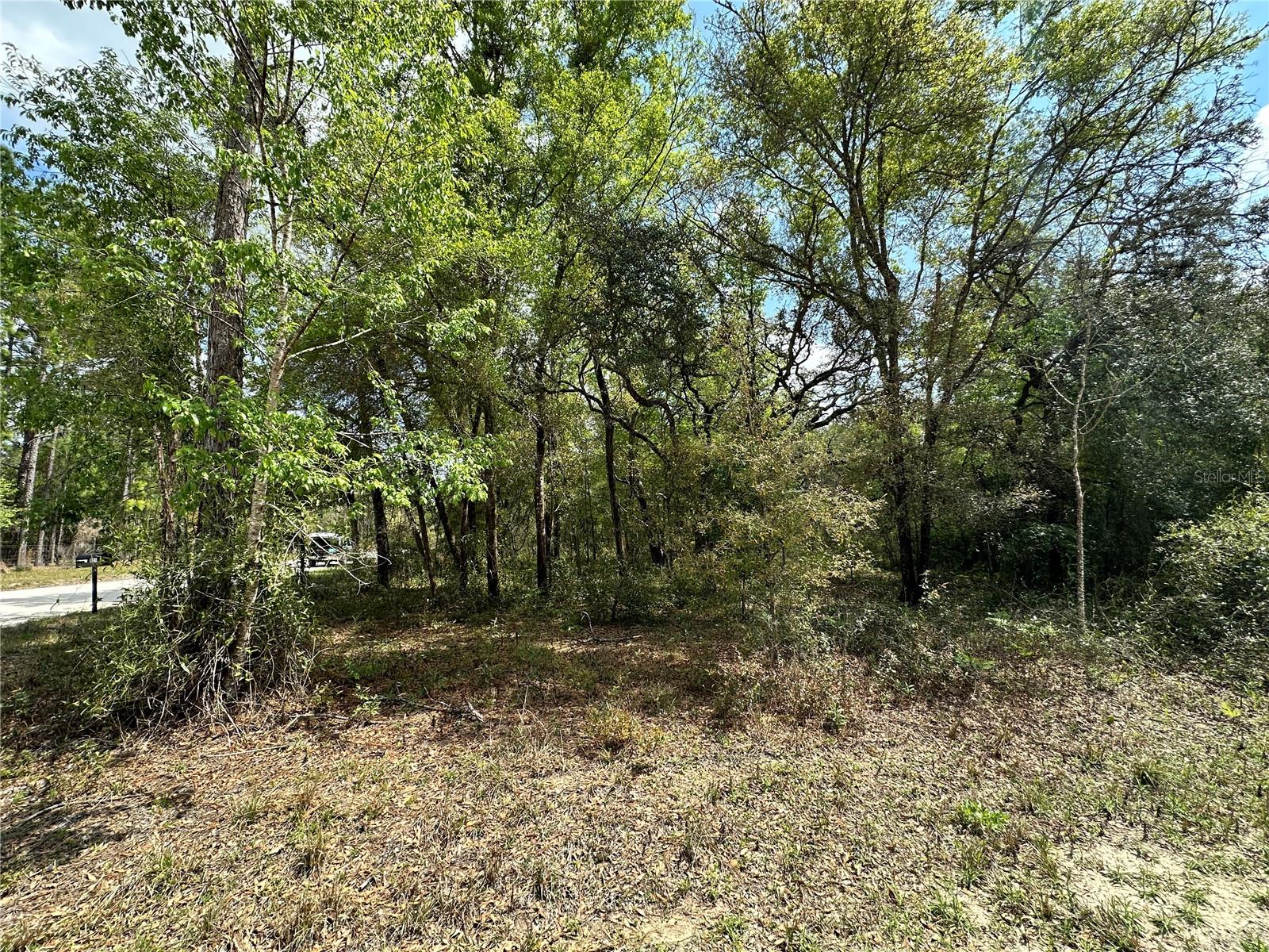 WILLISTON HIGHLANDS UNIT 12 - Land