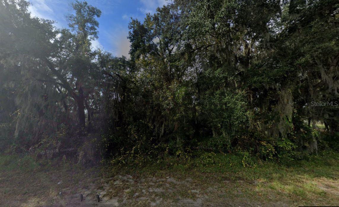 LAKE YALE WOODS - Land