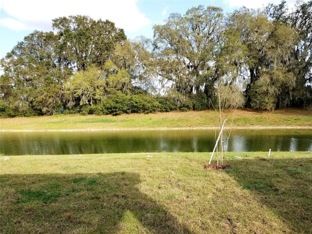 Photo of 4923 Rolling Green Drive, Wesley Chapel, FL 33543 (MLS # TB8494995)