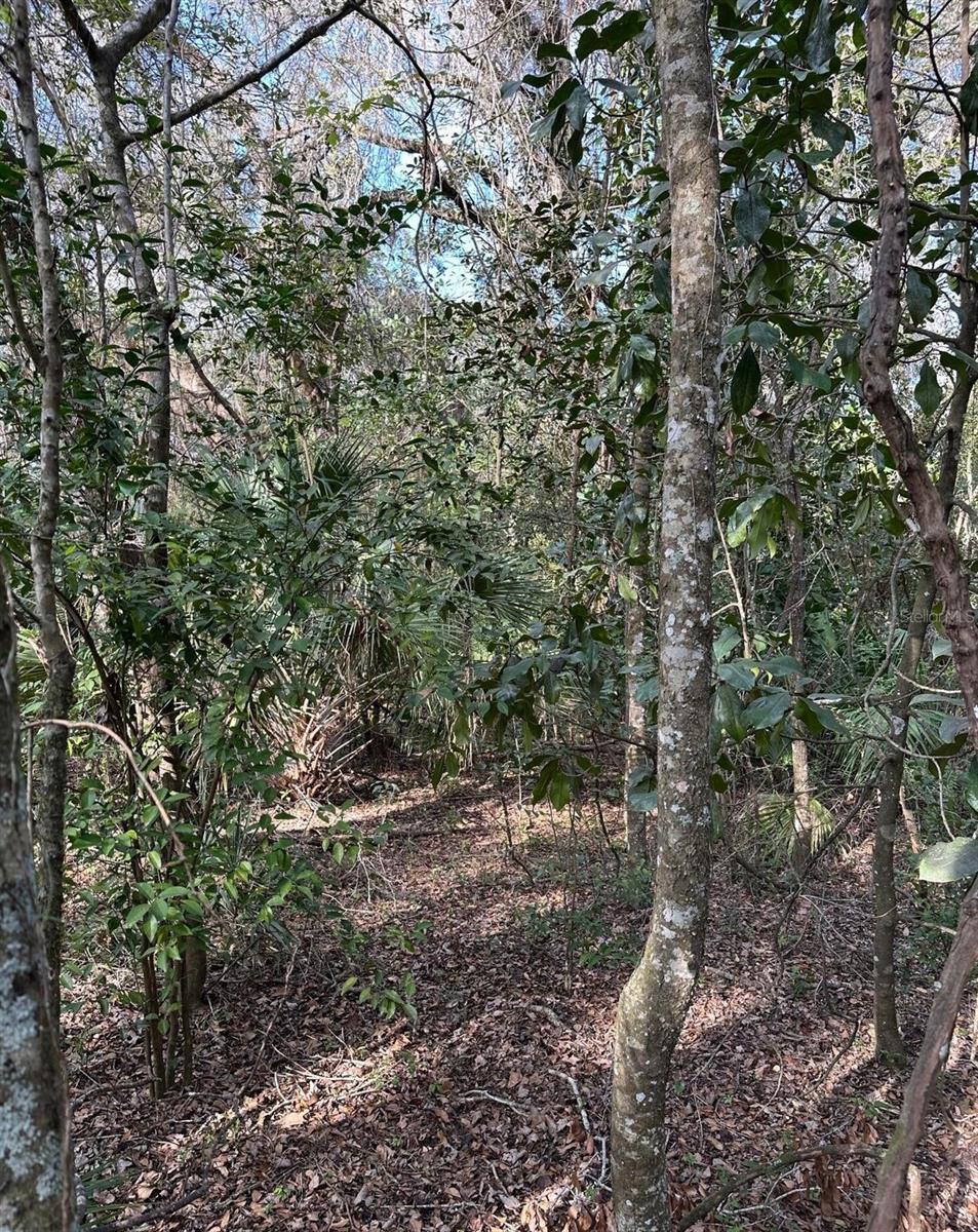 9 Acres of Secluded Paradise with Unlimited Potential! Escape to you own private retreat with the 9-acre property, zoned Agricultural and offering the perfect mix of nature and convenience. Mestled in a heavily wooded area, this land provides privacy and serenity making it ideal for a peaceful lifestyle. Homes or Mobiles allowed. Zoned for all animals, so bring your horses, livestock and pets. Direct access to the Rails to Trails, perfect for jogging, walking or bike riding right from your property. No deed restrictions, enjoy the freedom to create your ideal space. Easy access to I-75, convenient for commutes to Tampa or Ocala. This peaceful and versatile property is the perfect blank canvas for anyone looking for a quiet escape with room to grow. Wether you're seeking a private home site, a hobby far or getaway retreat, this property offers endless possibilities.