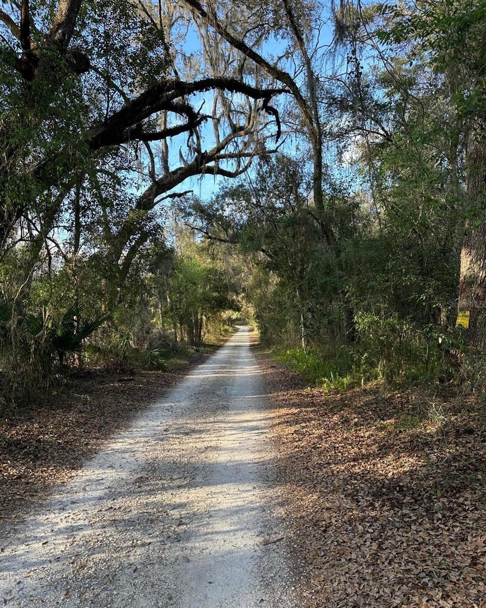 LUCILLES SHADY LANE