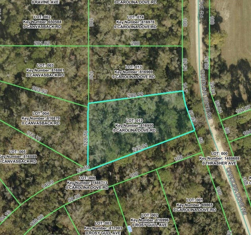 Beautiful Wooded Lot located in the Highly Desirable Royal Highlands area of Hernando County. This Quiet, Sought-after area provides a Rural Setting with Quick Access to Shopping, Medical, Restaurants & Golf Courses. Surrounded by New Construction, This 0.57+/- acre Lot w/50' Side Easement is Zoned R1C for Single Family Homes Only. No Flood Insurance Required, No HOA or CDD fees, Plenty of room for your Outdoor Toys. Enjoy Florida's Nature Coast! Plenty of Fishing, Hiking, Biking, Kayaking - the Gulf of Mexico, Weeki Wachee State Park/Home of the Mermaids, Chassahowitzka National Wildlife Refuge, The Suncoast Trail, & Homosassa Springs Wildlife State Park are all a Short Distance away as well as many Florida Attractions. Buy Now/Build Now or Buy Now/Build Later - Take a Look Before it's Gone!