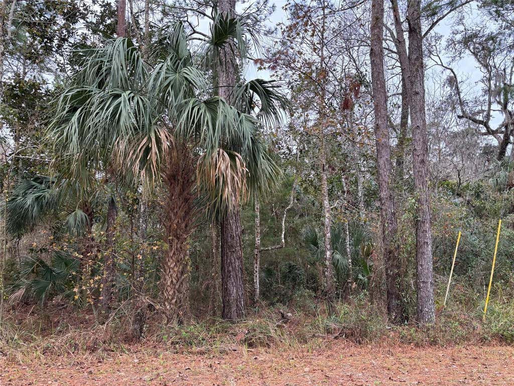 Photo of 12 Carolina Dove Road, Brooksville, FL 34614 (MLS # W7885305)