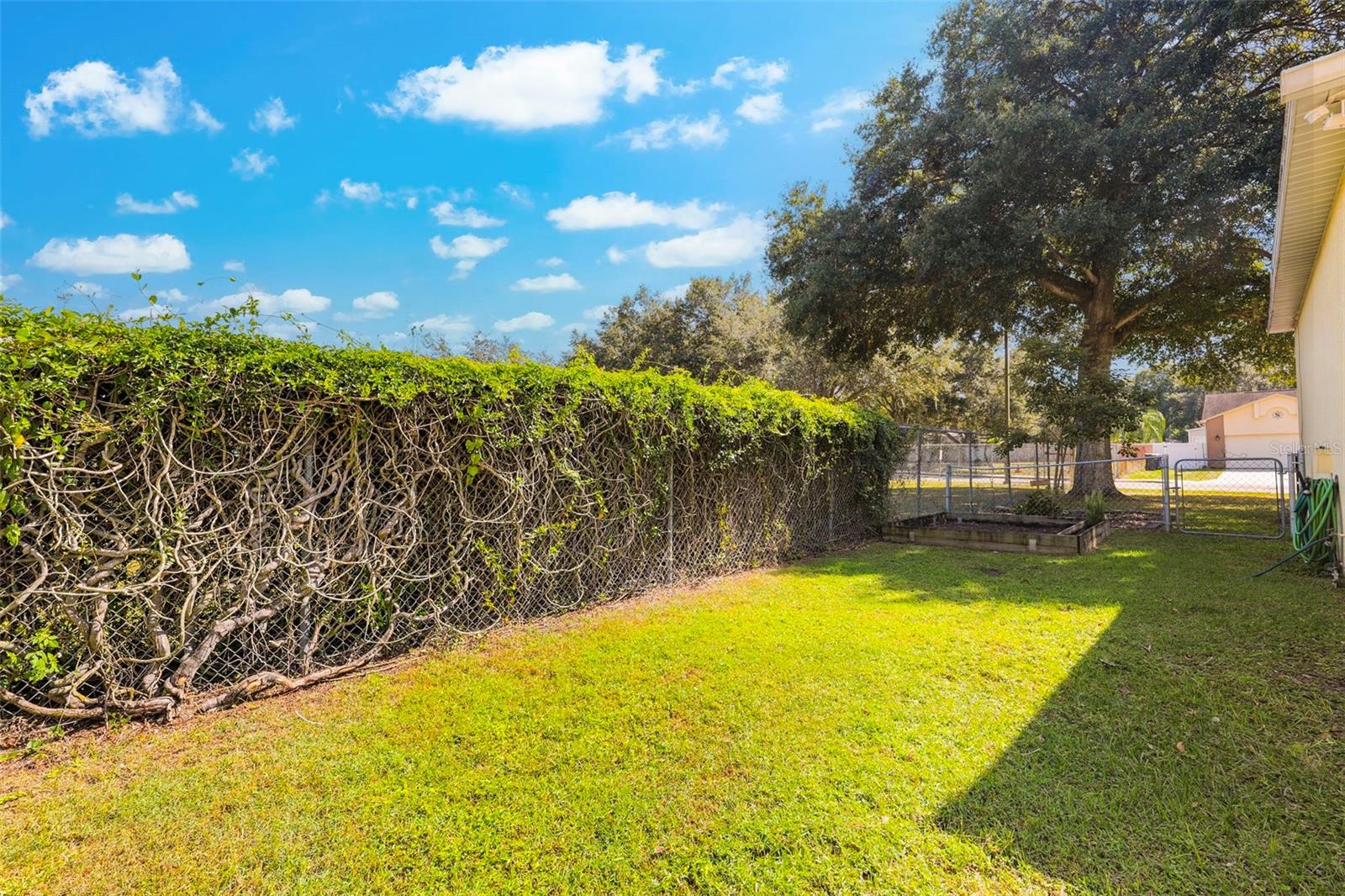 BUCKHORN TRACE - Residential