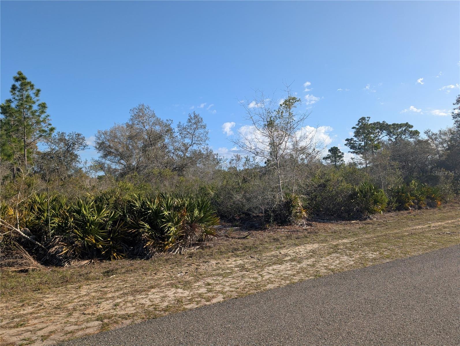 INDIAN LAKE ESTATES - Land