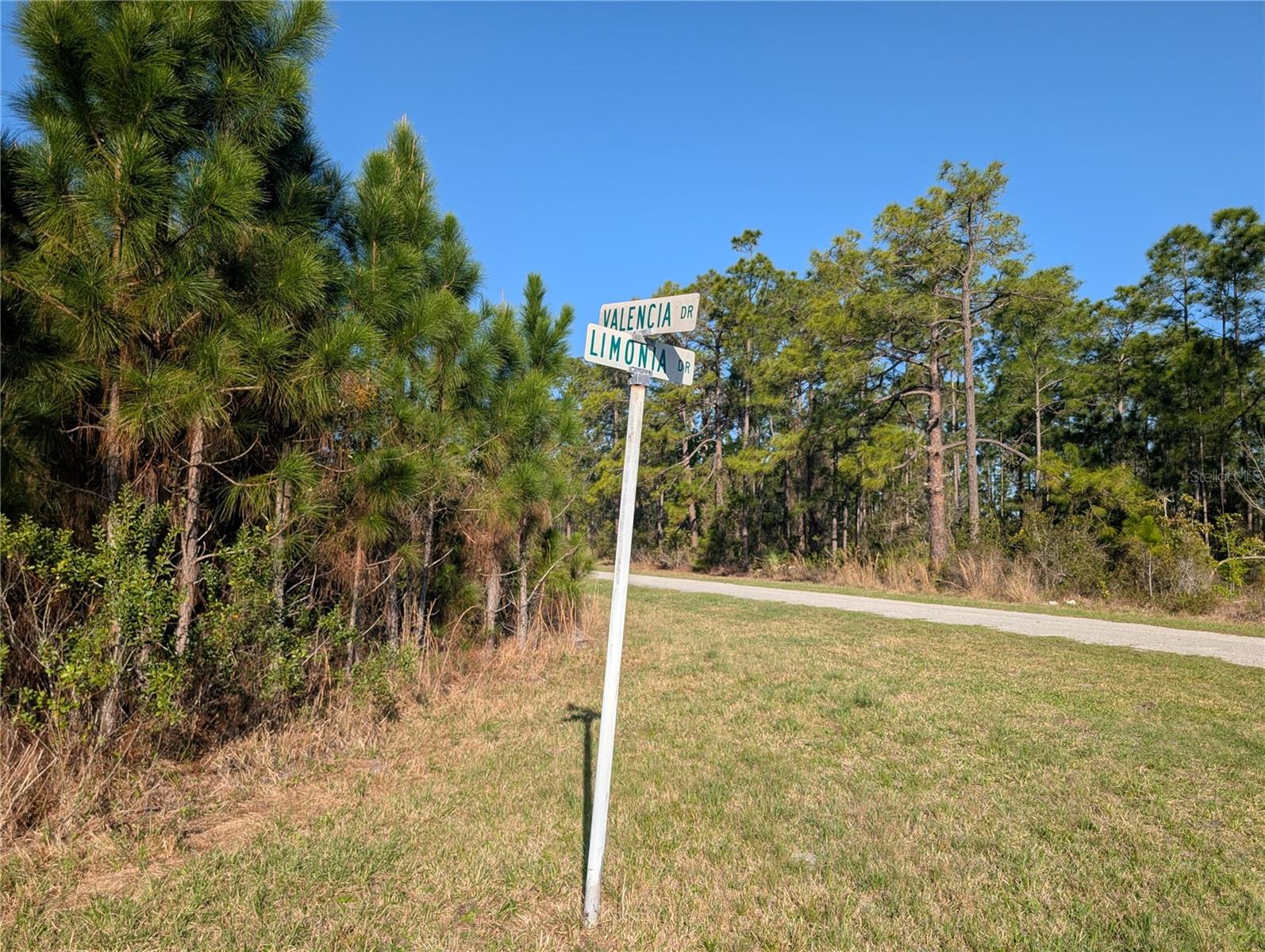 INDIAN LAKE ESTATES - Land