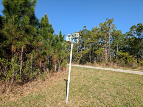 207 VALENCIA DRIVE INDIAN LAKE ESTATES FL 33855