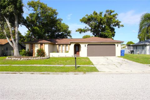 Photo of 4125 Riverwood Drive, New Port Richey, FL 34653 (MLS # TB8423394)