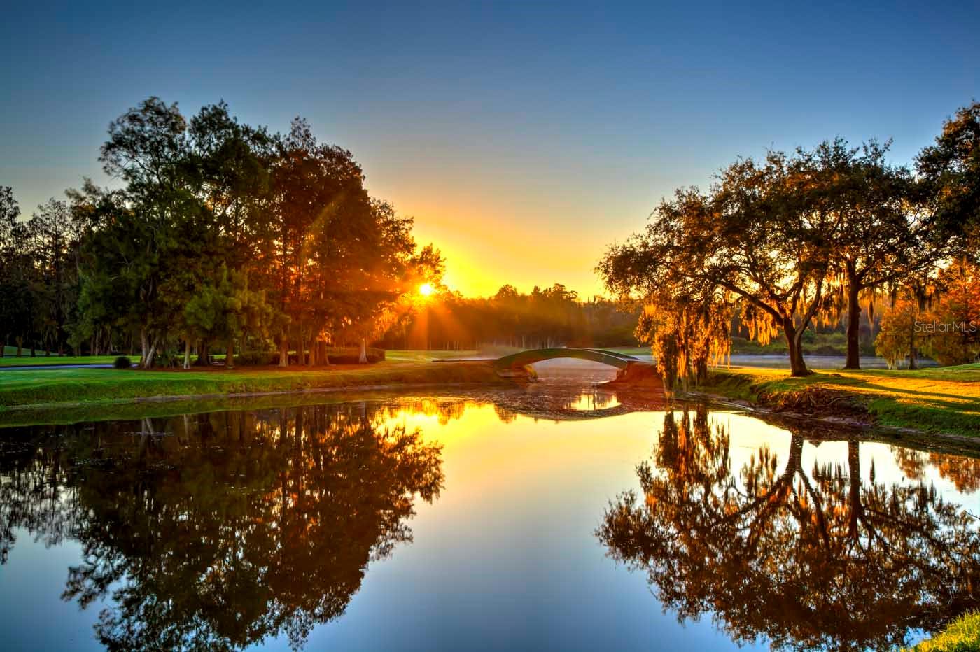 HIGHLANDS OF INNISBROOK - Residential