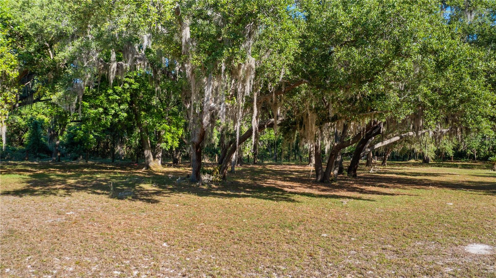 GROVELAND MC MURPHYS WOODS SUB - Land