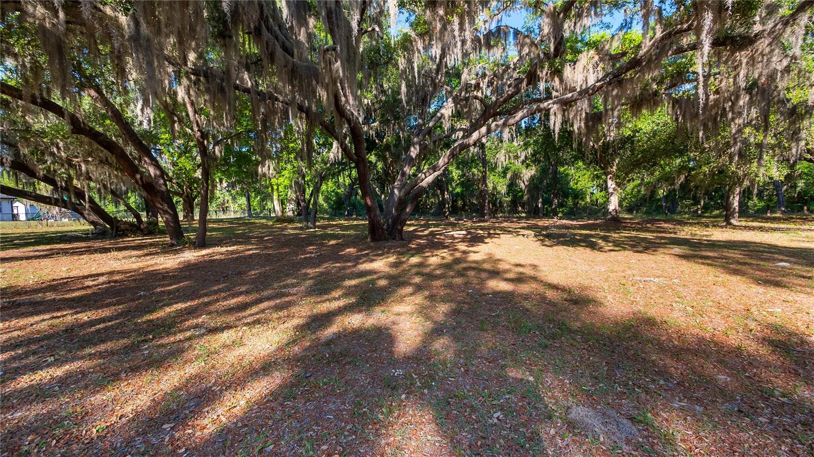 GROVELAND MC MURPHYS WOODS SUB - Land