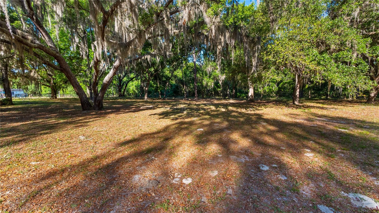 GROVELAND MC MURPHYS WOODS SUB - Land