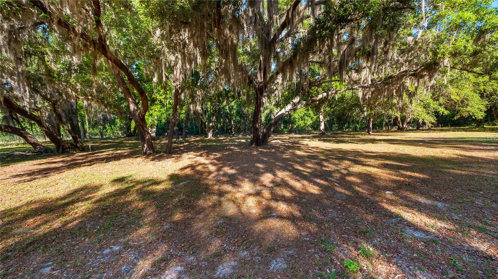 GROVELAND MC MURPHYS WOODS SUB - Land