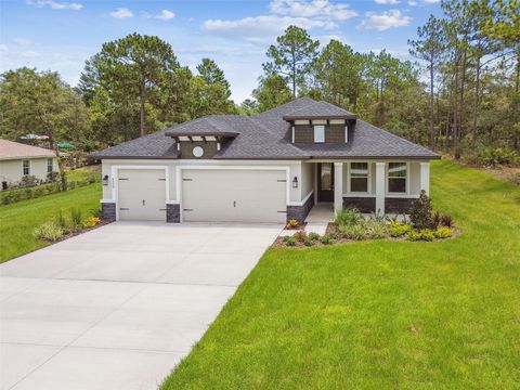 Photo of 11347 Striped Bass Court, New Port Richey, FL 34654 (MLS # W7881075)