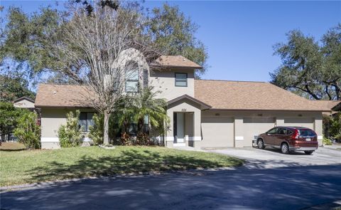 Photo of 1684 Fry Court, Dunedin, FL 34698 (MLS # TB8470045)