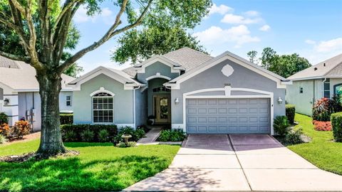 4196 GREENWICH COURT CLERMONT FL 34711