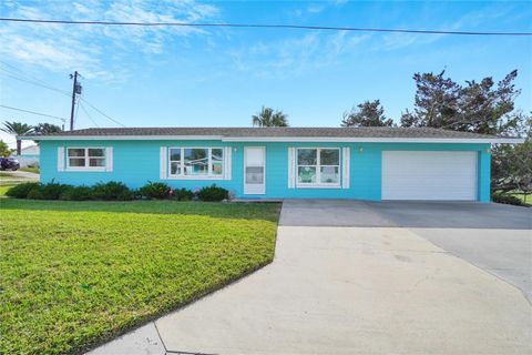 A home in FLAGLER BEACH