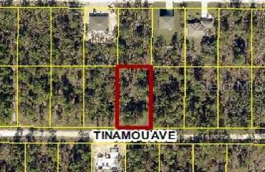 Nestled away in a highly desirable area of the Royal Highlands, this beautiful home site is waiting for you. The location is fantastic, ready to build your dream home on - or hold on to as an investment. Not in a deed restricted community, NO HOA or CDD fees either, and there is no time limit on when you can build. Close to all area amenities such as shopping, schools, dining, entertainment, medical, saltwater fishing in the Gulf and natural freshwater rivers and springs - for those who love the outdoors. Come see this beautiful home site today before its gone. If you have any questions, just ask.