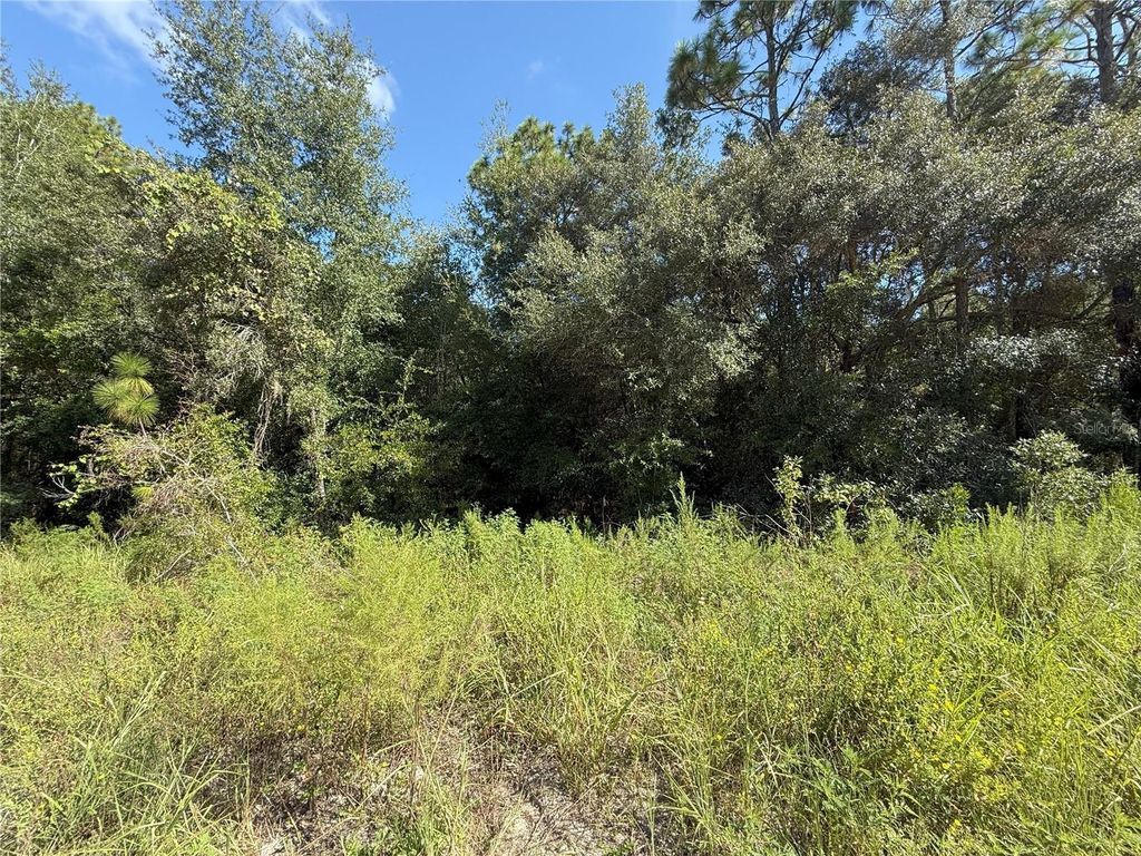 Photo of Tbd SW 40th Street, Dunnellon, FL 34432 (MLS # OM708514)