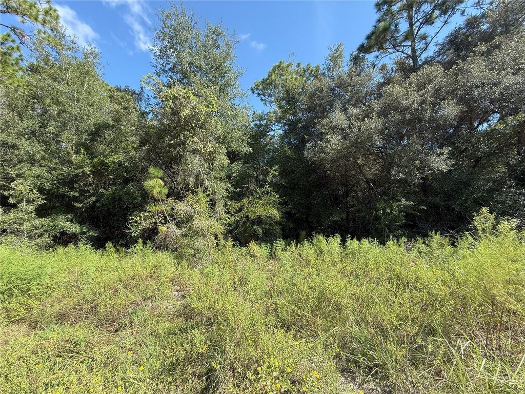 Photo of Tbd SW 40th Street, Dunnellon, FL 34432 (MLS # OM708514)