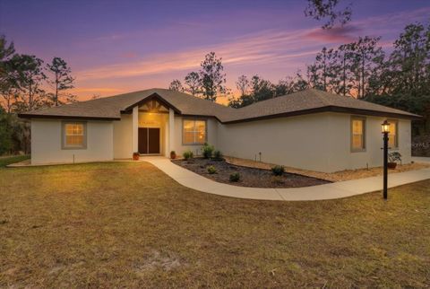 Photo of 4421 N Little Dove Terrace, Hernando, FL 34442 (MLS # TB8460481)