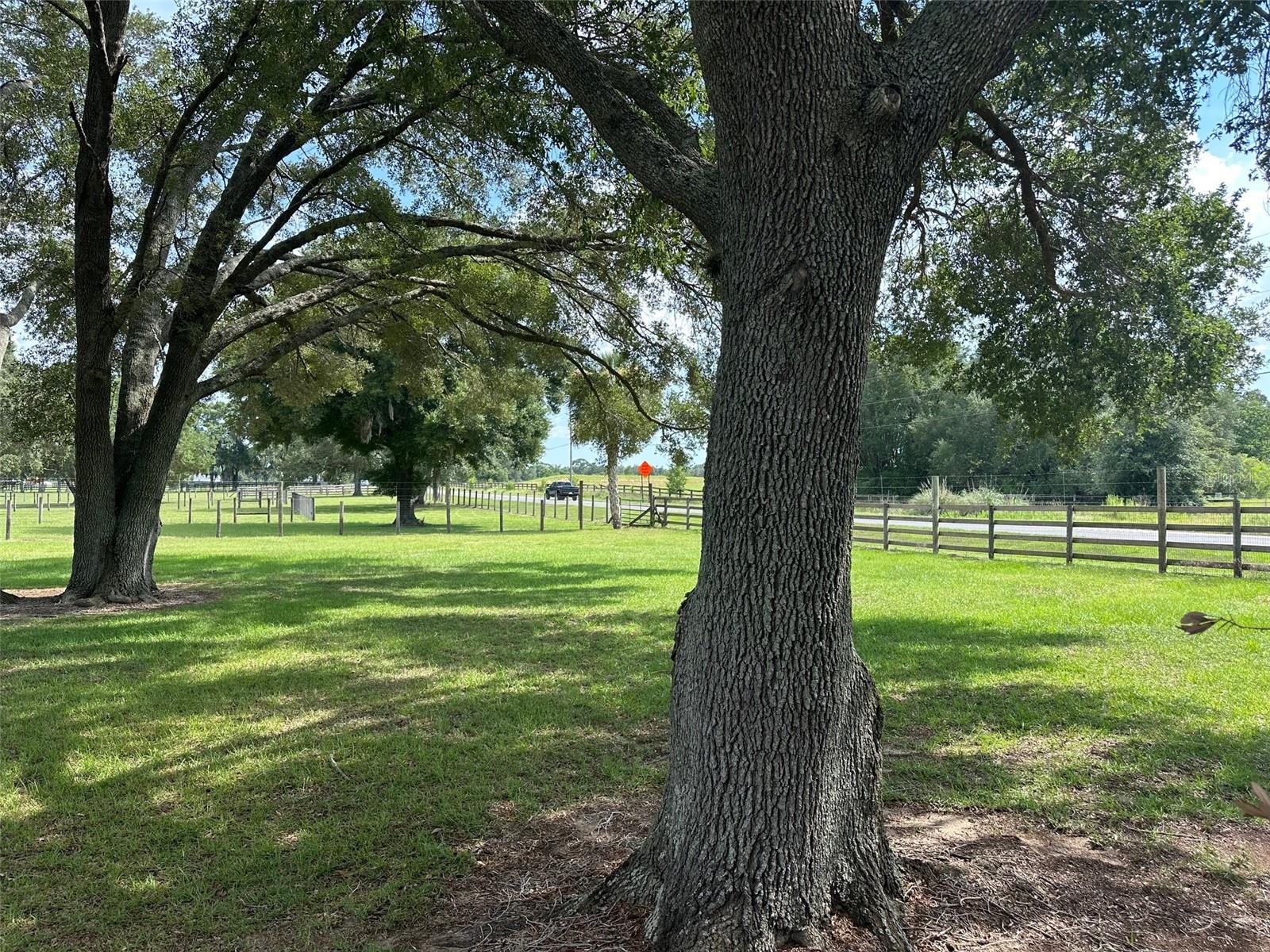 905 NW 80TH AVENUE