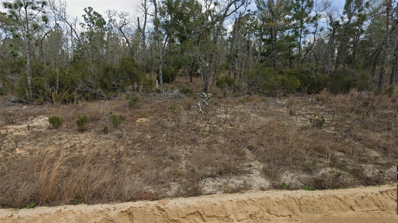 Affordable .11 acre lot with no HOA fee. Adjoining lot also available f you need more space.