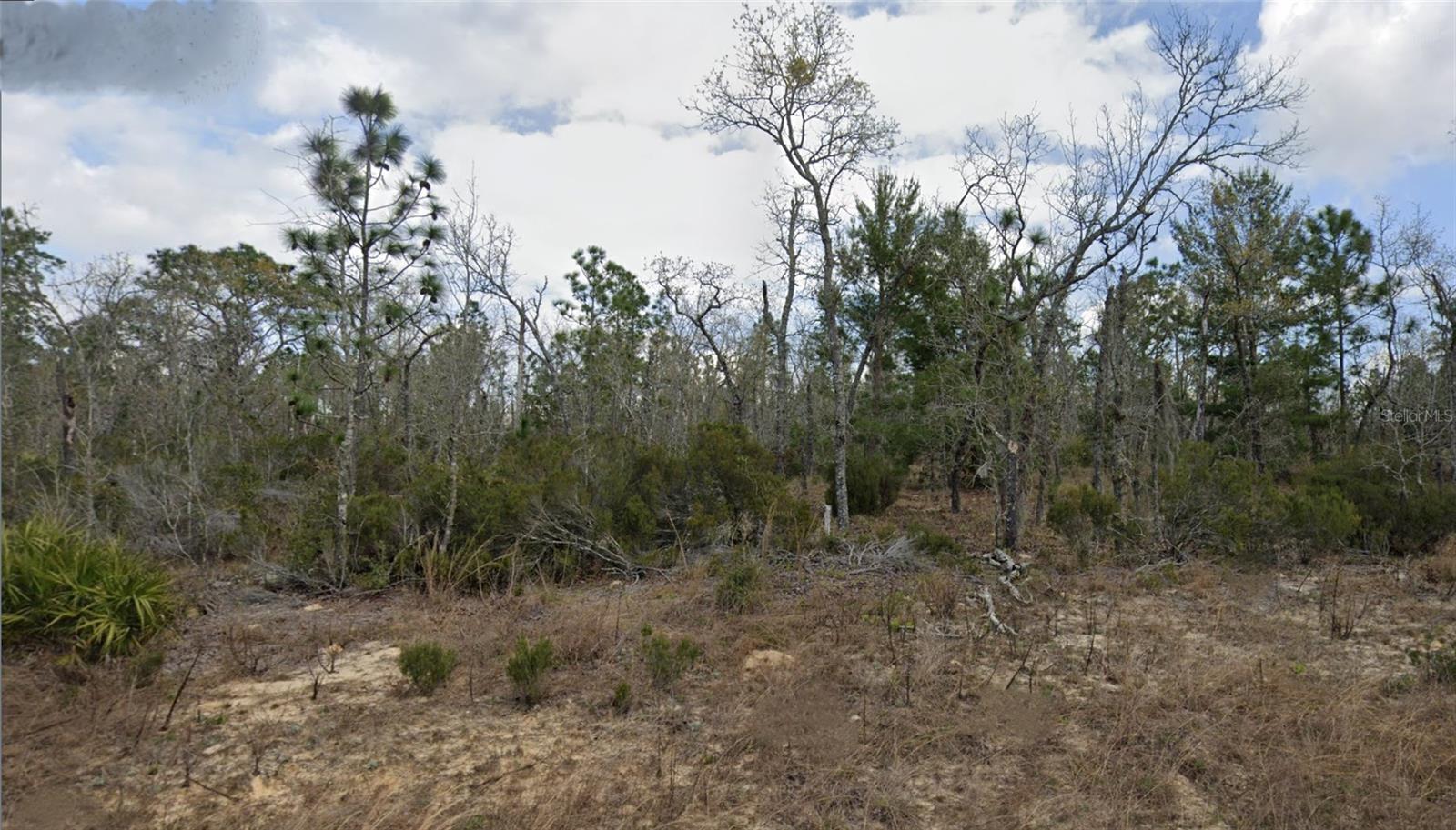 Lot 33 TWIN LAKES BLVD