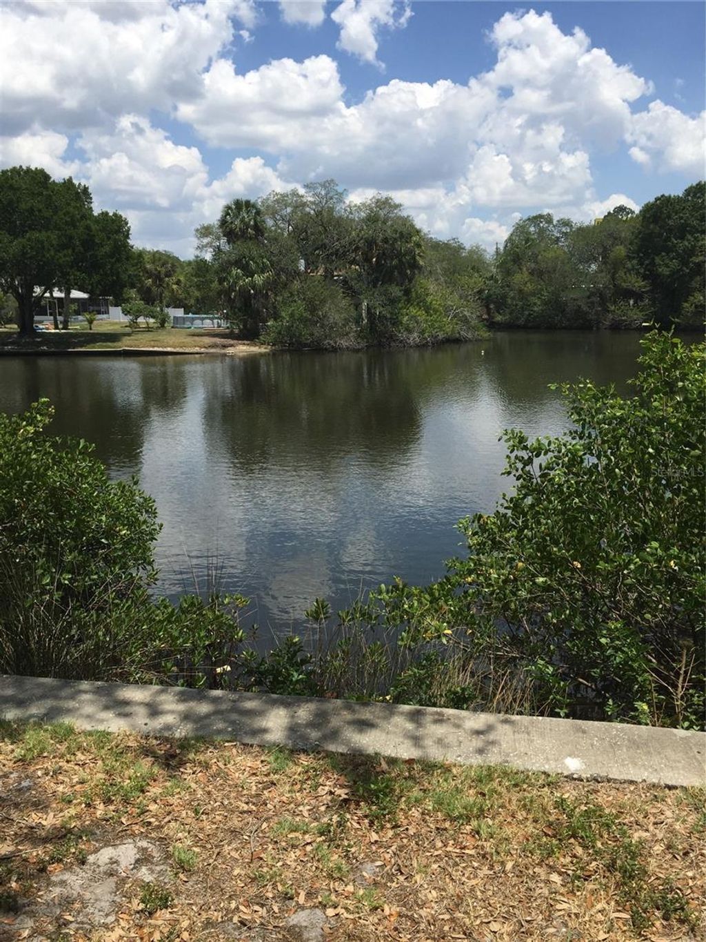 Photo of 9119 Tudor Drive #E102, Tampa, FL 33615 (MLS # TB8441781)